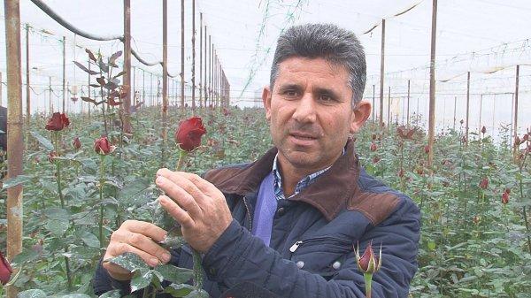 Çiçek üreticileri işçi bulamamaktan şikayetçi