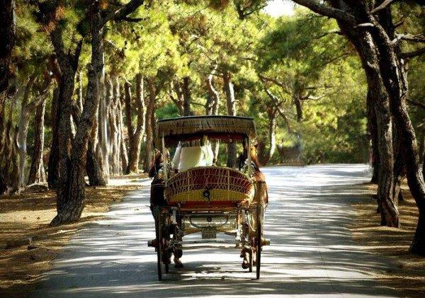 Prens Adaları için günlük gezi bütçesi