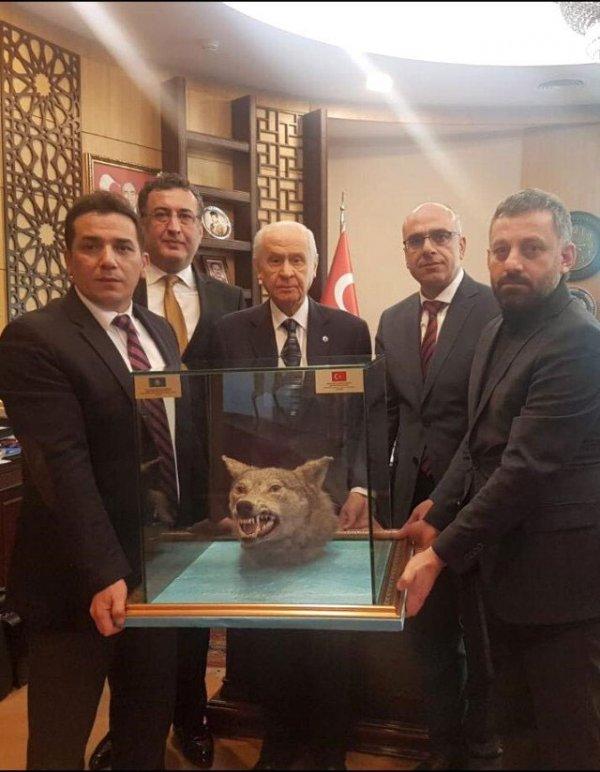 Bahçeli'ye 71'inci yaş günü hediyesi: Kurt kafası