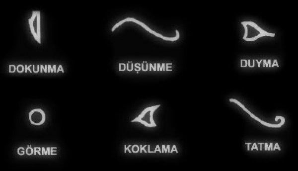 Horus'un Gözü nedir