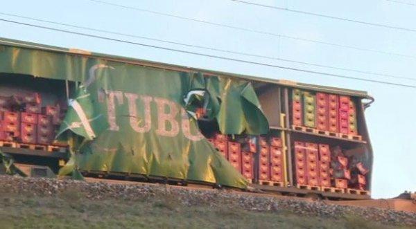 Danimarka'da tren kazası