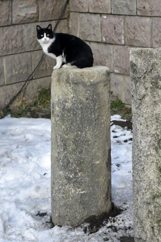 Gümüşhane'de 2 bin yıllık eserler ziyarete açıldı