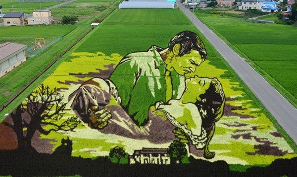 Japon tarlalarında pirinç çeltik sanatı