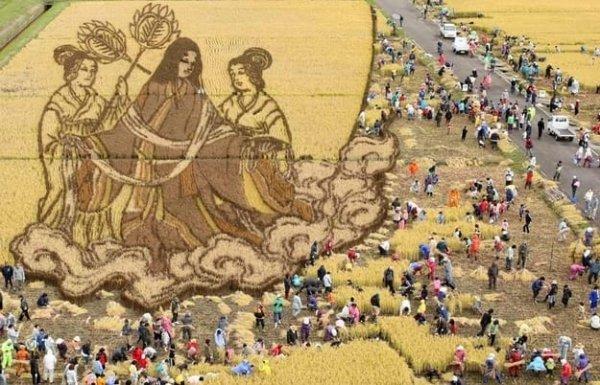 Japon tarlalarında pirinç çeltik sanatı