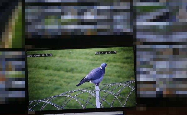 Suriye sınırı Akıllı Sistem'le korunuyor