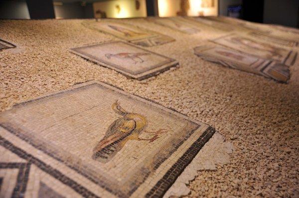 Çingene Kızı mozaiğine ziyaretçi yoğunluğu