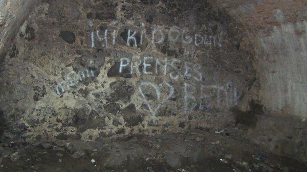 Tarihi Garipçe Kalesi bakıma muhtaç