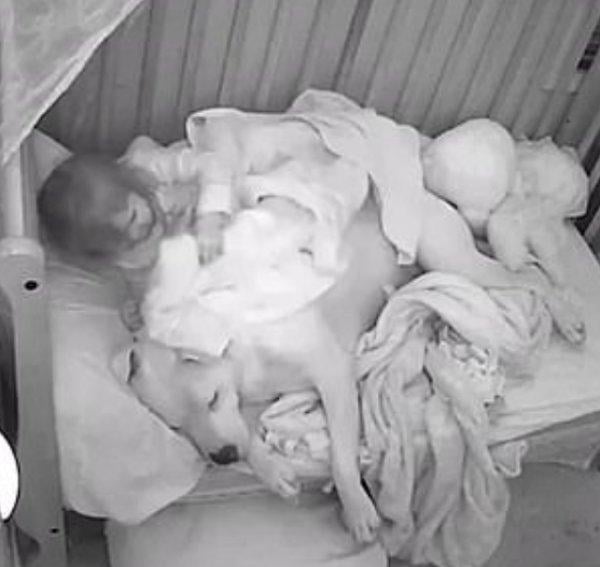 Deprem korkusuyla köpeğe sarılıp uyuyan bebek