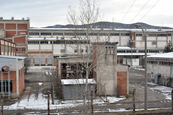 'Kenevir' açıklaması Kastamonu’da sevinçle karşılandı