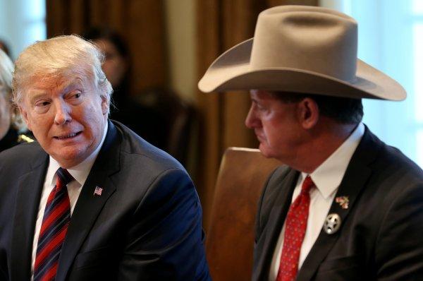 Trump Meksika sınırına 'özel' tasarımlı duvar yaptıracak