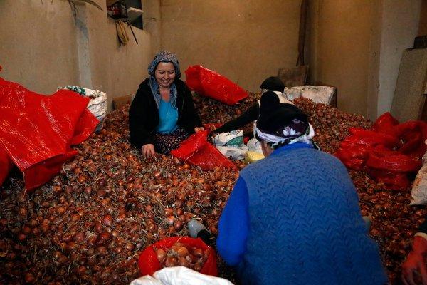 Moda tasarımcılığını bırakıp çiftçi oldu