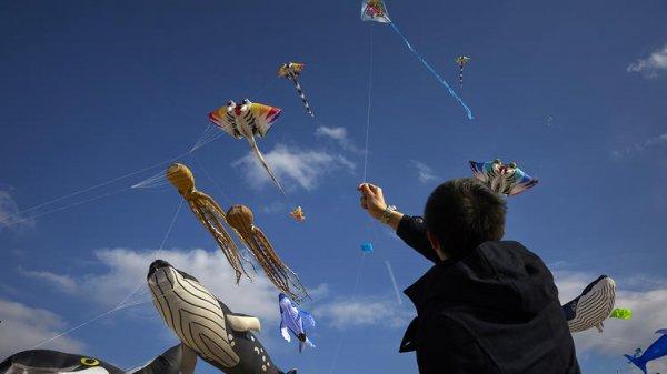 Hindistan'daki uçurtma şenliğinde facia