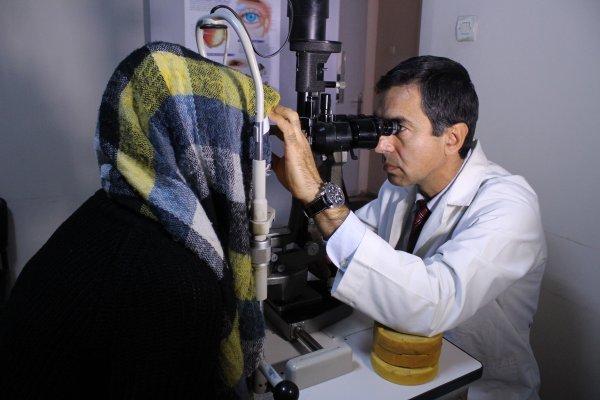 İzmir'de iki genç kadın kedi parazitinden kör oldu