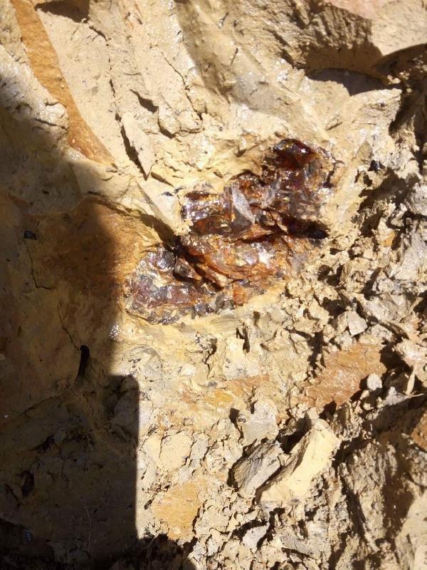 Bayburt Aydıncık'ta kömür diye kehribar yaktılar