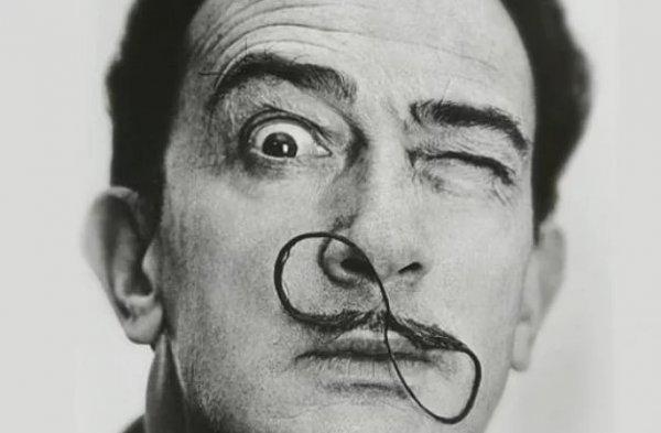 Salvador Dali ölümünün 30. yılında anılıyor - Salvador Dali kimdir
