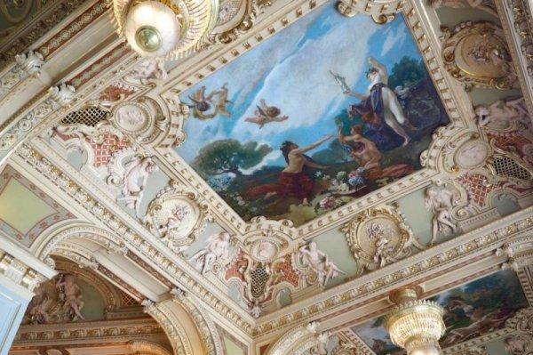 Budapeşte'de dünyanın en güzel kafesiyle tanıştık