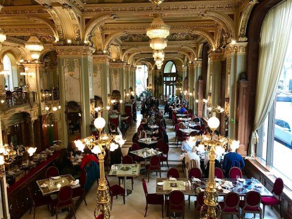 Budapeşte'de dünyanın en güzel kafesiyle tanıştık