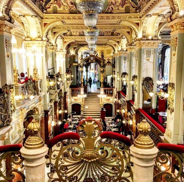 Budapeşte'de dünyanın en güzel kafesiyle tanıştık