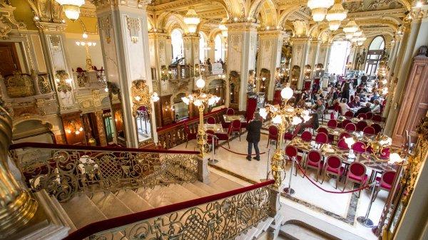 Budapeşte'de dünyanın en güzel kafesiyle tanıştık