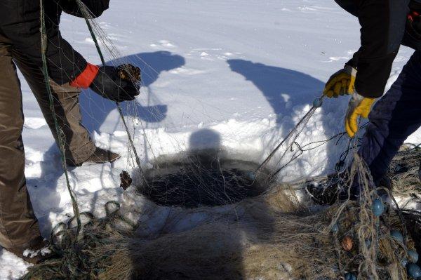 Çıldır Gölü'nde sezonun en büyük balığı