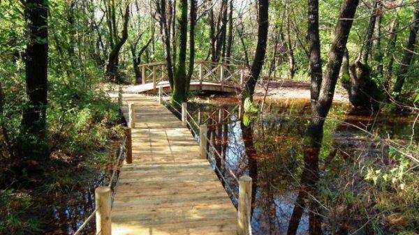 Milli Parklar ziyaretçi rekoru kırdı