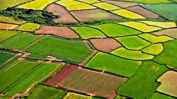 Örtü altı tarım arazisi nedir