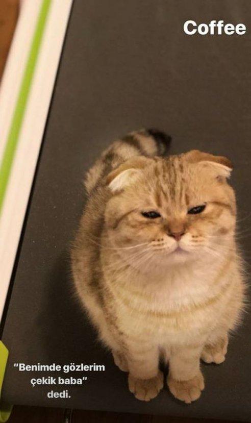 Kubilay Aka'yı kızdırdılar