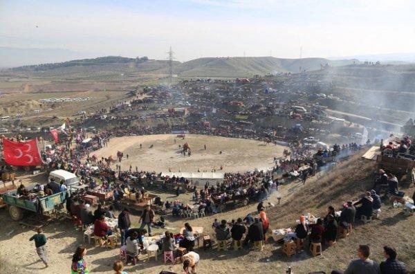 Seyircilerin arasına dalan deve korkuttu