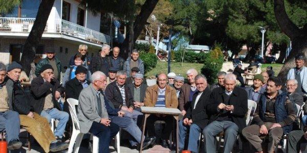 Manisa'da uyuz salgını