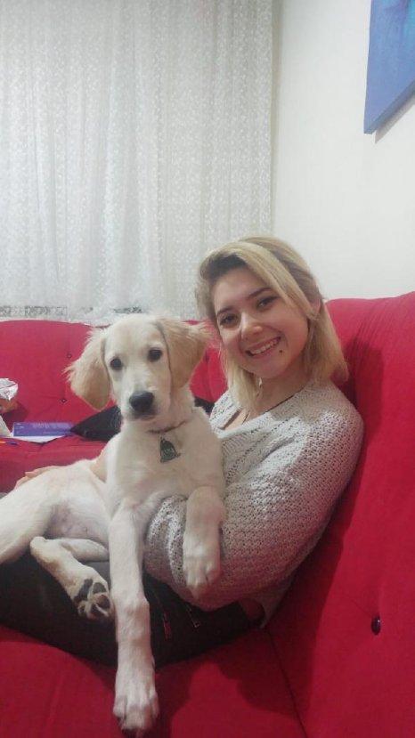 Şule Çet'in ölümüyle ilgili dava başladı