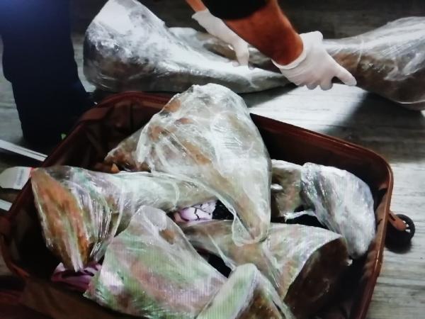 Atatürk Havalimanı'nda gergedan boynuzu operasyonu