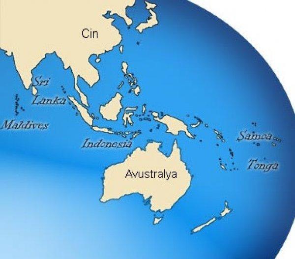 Dünyanın en yeni adasında hayat belirtileri görüldü