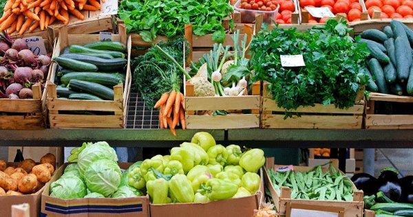 Halciler Federasyonu Başkanı: Fiyatlar düşecek