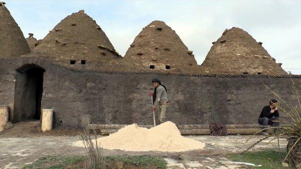 Harran'ın konik kubbeli evlerine bakım