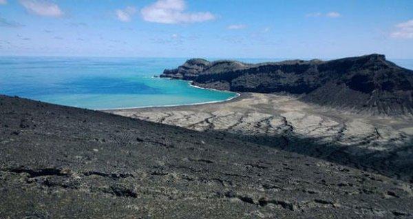 Dünyanın en yeni adasında hayat belirtileri görüldü