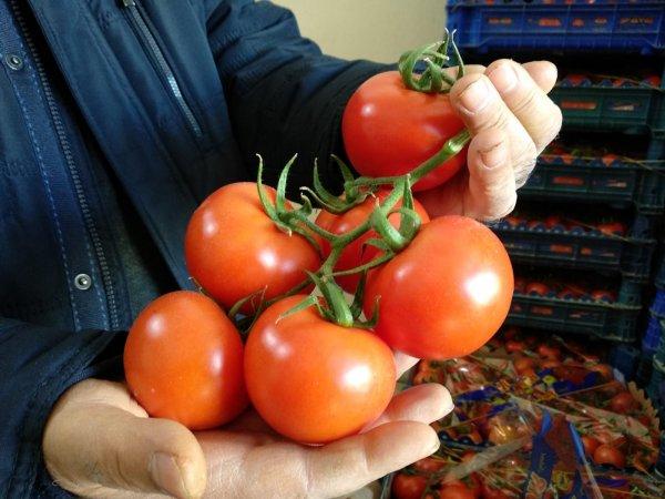 Tanzim fiyatları Türkiye geneline yayılıyor