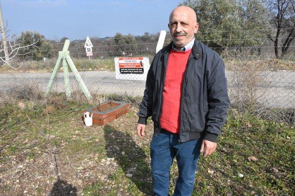 Kedi Yeşim için mezar yaptırdı