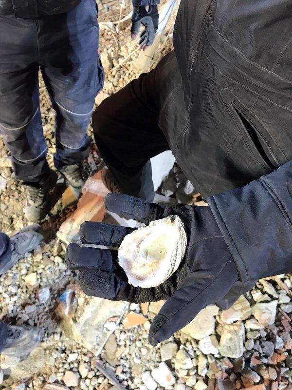 Kartal'da çöken binada kullanılan deniz kabukları