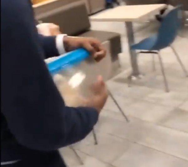 ABD'de fare şakası restoranı karıştırdı