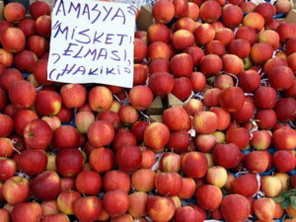 Ferhat’ın Şirin için dağlarını deldiği şehir: Amasya