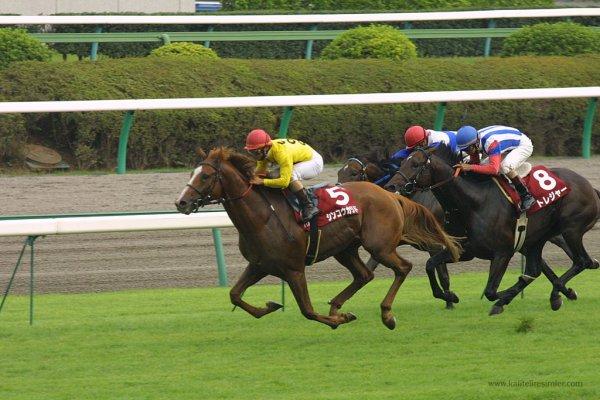 Vakanüvis Veliefendi Hipodromu'nu yazdı