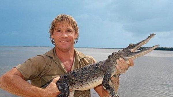 Steve Irwin, 57. yaşını google unutmadı. Steve Irwin kimdir?