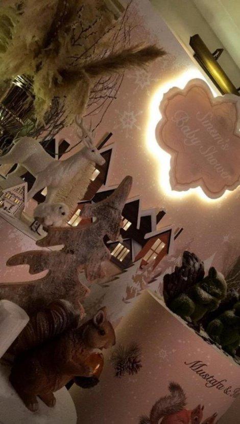 Sinem Öztürk ikizleri için parti verdi