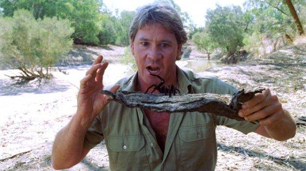 Steve Irwin kimdir