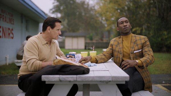 Green Book nedir