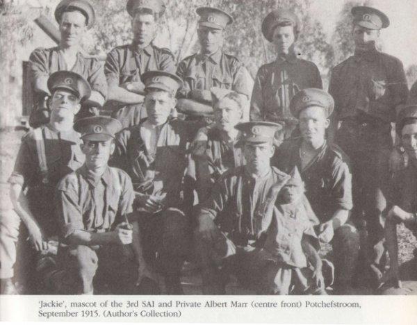 I. Dünya Savaşı hendeklerinde savaşan maymun