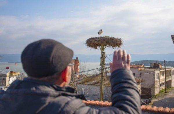 Leylek Yaren bu yıl beklenenden erken geldi