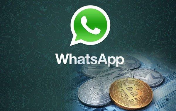 whatsapp