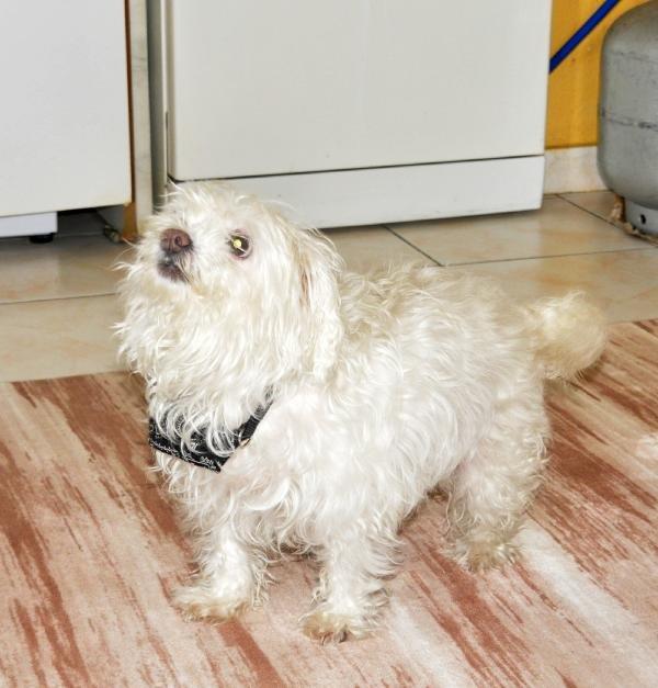 Amazon kadın, 12 yılda 7 kanseri yendi