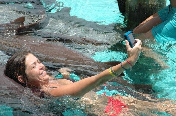 Köpek balıklarıyla serbest yüzeceğin denizler